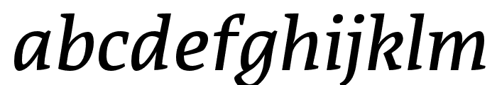 Acuta Book Italic