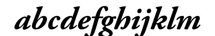 Adobe Garamond Pro Bold Italic