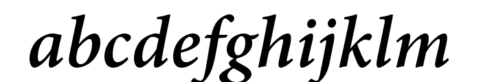 Adobe Hebrew Bold Italic