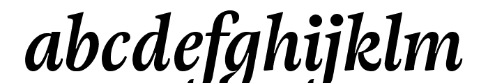 Adriane Text Bold Italic