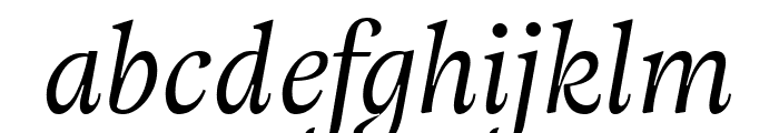 Adriane Text Italic