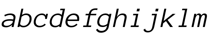 Anonymous Pro Italic