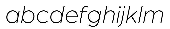 Arboria Light Italic