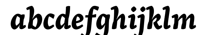 Arek Latin Bold Italic