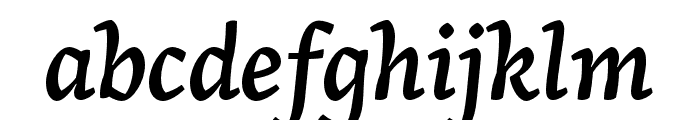 Arek Latin Semibold Italic