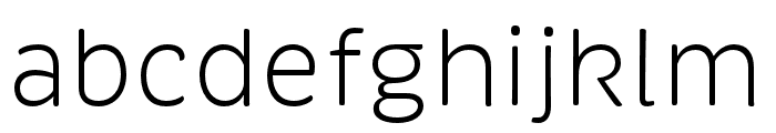 Brevia Light Italic