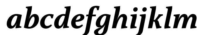 Capitolina Bold Italic