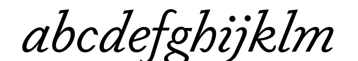 Dapifer BookItalic