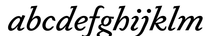Dapifer MediumItalic