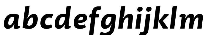 Dederon Sans Bold Italic