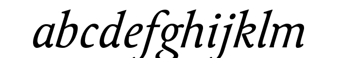 Delicato Pro Italic
