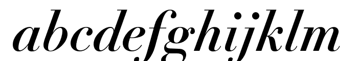 Didot LT Pro Bold Italic