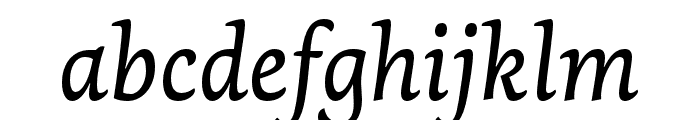 Dolly Pro Regular Italic