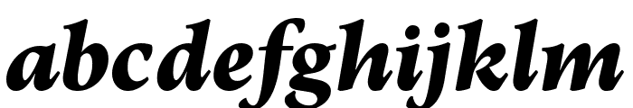 Elmhurst BlackItalic