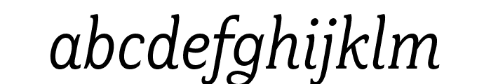 Fairplex Wide OT Book Italic
