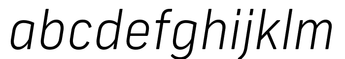 Frank New Light Italic