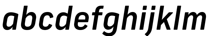 Frank New Medium Italic