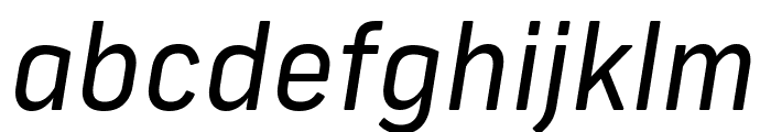 Frank New Regular Italic