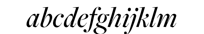 FreightMicro Pro Medium Italic