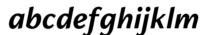 FreightNeo Pro Bold Italic