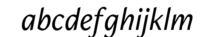 FreightNeo Pro Medium Italic