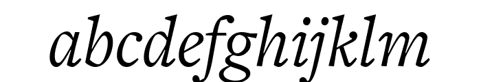 FreightText Pro Book Italic