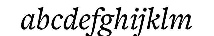 FreightText Pro Medium Italic