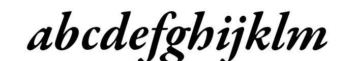 Garamond Premier Pro Bold Italic Subhead
