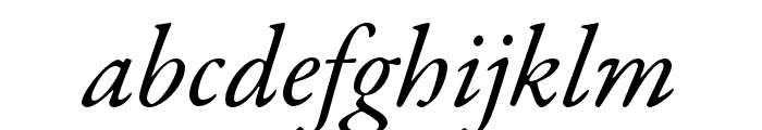 Garamond Premier Pro Italic
