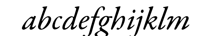 Garamond Premier Pro Medium Italic