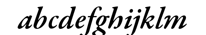 Garamond Premier Pro Semibold Italic