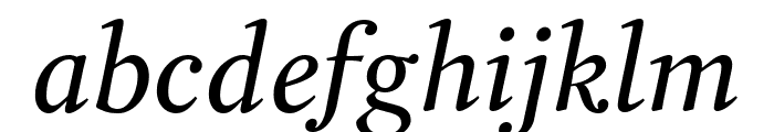 Garvis Pro Italic