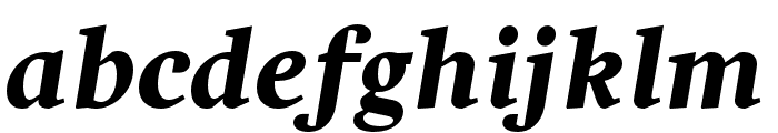 Harfang Black Italic
