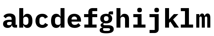 IBM Plex Mono Bold