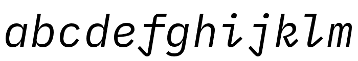 IBM Plex Mono Italic
