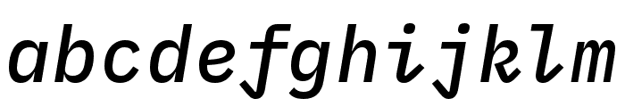 IBM Plex Mono Medium Italic