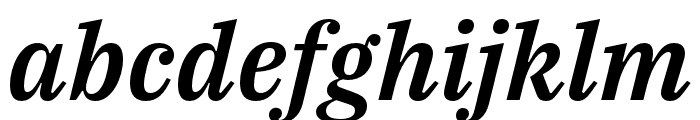 IBM Plex Serif SemiBold Italic