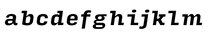 Input Serif Bold Italic