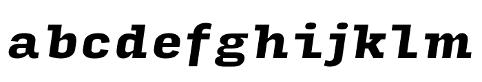 Input Serif Condensed Black Italic