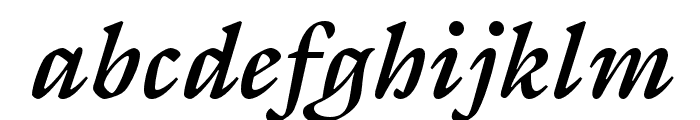 ITC Galliard Pro Bold Italic
