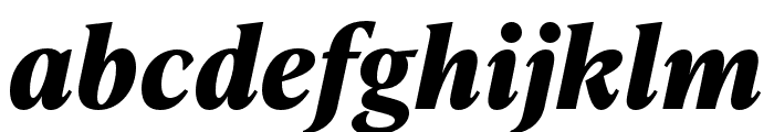 IvyPresto Text Bold Italic