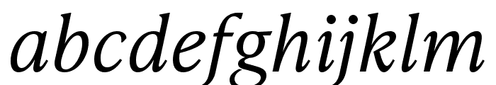 IvyPresto Text Light Italic