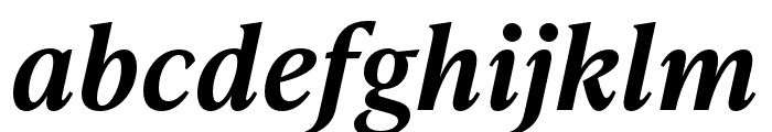 IvyPresto Text SemiBold Italic