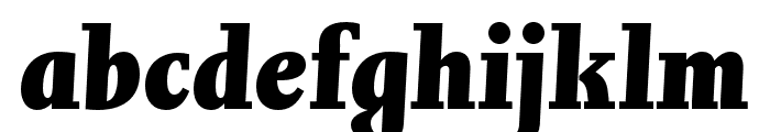Joanna Nova Black Italic