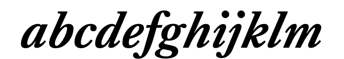 Kings Caslon Bold Italic