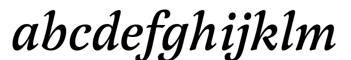 Latienne Pro Medium Italic
