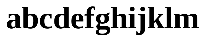Liberation Serif Bold