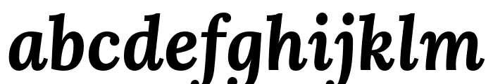 Lora Bold Italic