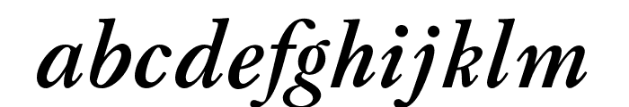 LTC Caslon Pro Bold Italic