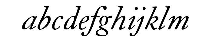 LTC Caslon Pro Italic